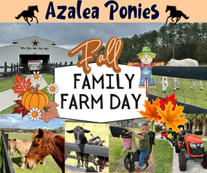 Fall Family Farm Day at Azalea Ponies