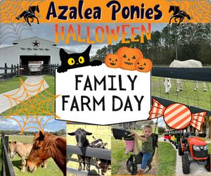 Azalea Ponies Halloween Farm Day