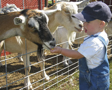 Kids Clay County and Bradford County: Animal Encounters - Fun 4 Clay Kids
