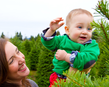 Kids Clay County and Bradford County: Christmas Tree Farms - Fun 4 Clay Kids