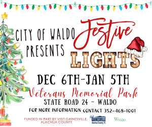 City of Waldo Festive Lights