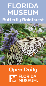 Florida Museum of Natural History - Butterfly Rainforest