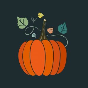 pumpkin-5711688_150.jpg