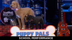 fscj-puppypals-960x540schoolphoto.jpg