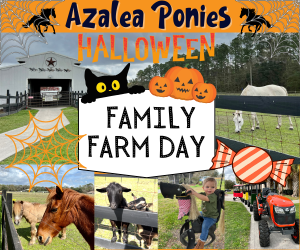 HalloweenAzaleaPoniesFarmDay1.png