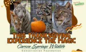 Screenshot 2025-11-19 101238.png