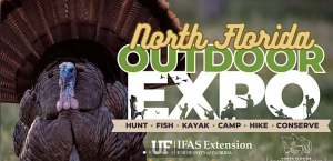 Screenshot 2026-01-22 114050.png