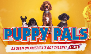 Screenshot 2026-02-19 134812.png