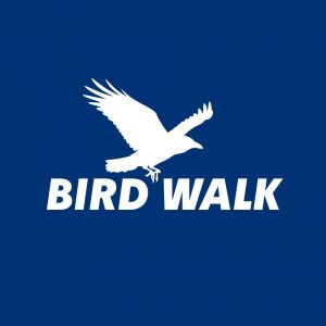 bird.jpg