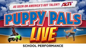 social-puppypals-960x540-school.jpg