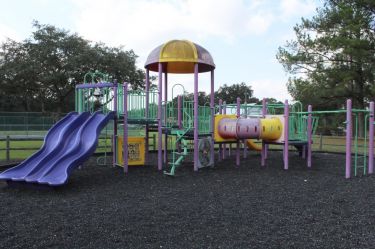 9891.jpg
