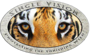Single Vision - Offsite Educational Programs