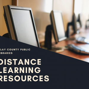 Clay County Public Library Online Resources
