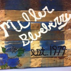 Miller Blueberry Plantation and Nursery