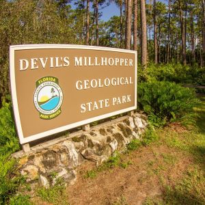 Gainesville: Devil's Millhopper Geological State Park