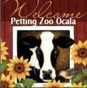 Ocala: Petting Zoo Ocala