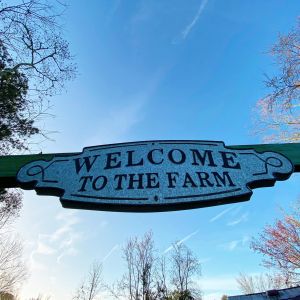 Jacksonville: Celestial Farms