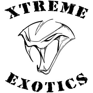 Xtreme Exotics
