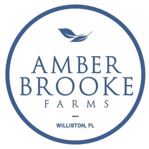Amber Brookes Farm