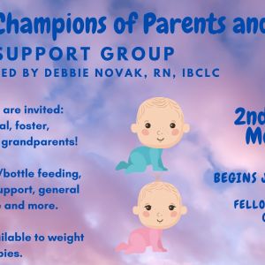 Champions of Parents and Babies Support Group