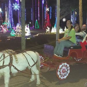 Holiday Light Carriage Tours