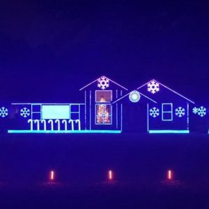 Lights on 14ths Christmas Show