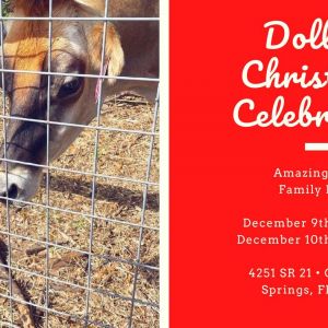 Dolly's Christmas Celebration at Amazing Grace Family Farm