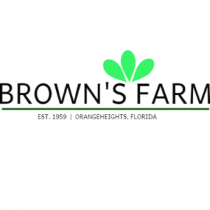 Brown's Farm-U-Pick Strawberries