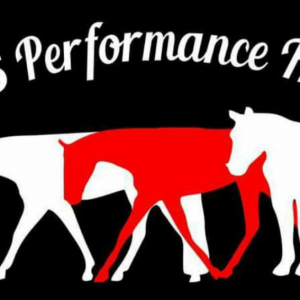 J&S Performance Horses Spring Break Camp