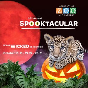 Jacksonville Zoo and Gardens Spooktacular