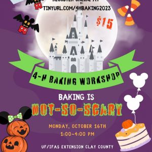 4-H Baking Workshop