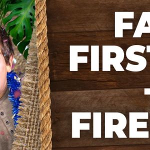 Wild Adventures New Year's Eve Fireworks Spectacular