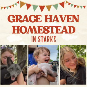 Grace Haven Homestead