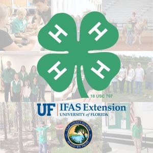 4-H Clay County