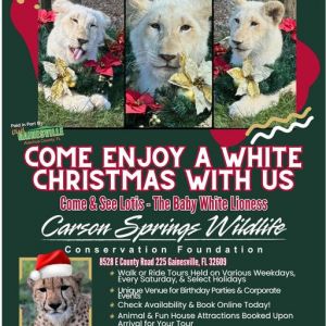 Christmas Tours at Carson Springs Wildlife Conservation