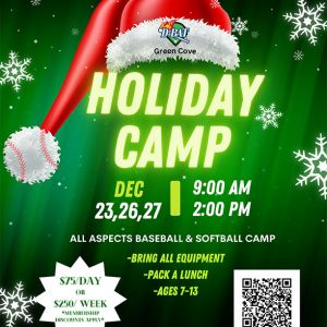 D-Bat Holiday Camp