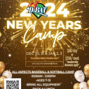 D-Bat New Years Camp