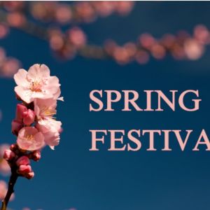 Middleburg Spring Festival