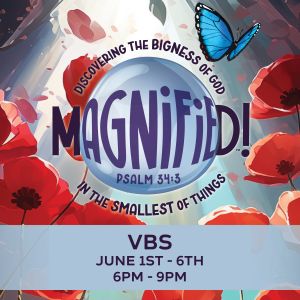 Grace Anglican Church VBS