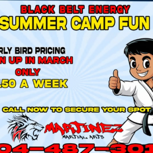 Martinez Martial Arts Summer Camp