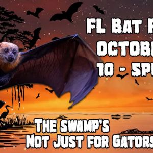 Florida Bat Fest at Lubee Bat Conservancy