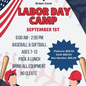 D-Bat Labor Day Camp