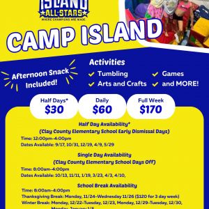 Camp Island