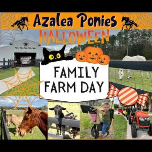 Azalea Ponies Halloween Farm Day