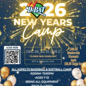 D-Bat New Years Camp