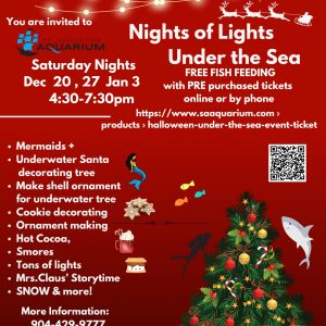 Nights of Lights Under the Sea