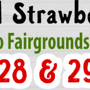 Bradford County Strawberry Festival
