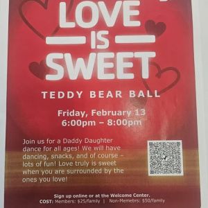 Teddy Bear Ball at Dye Clay YMCA