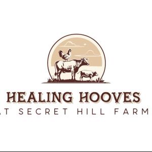 Healing Hooves at Secret Hills Farm