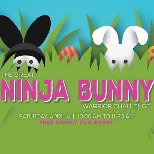 Ripple Effect Middleburg Great Ninja Bunny Warrior Challenge